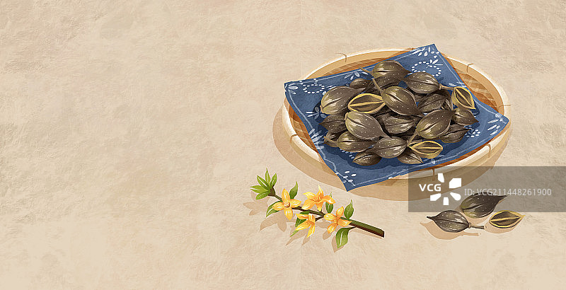 中国传统文化中草药药材之连翘图片素材