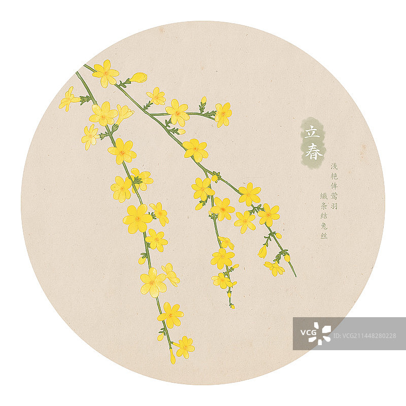 二十四节气立春迎春花手绘植物插画图片素材