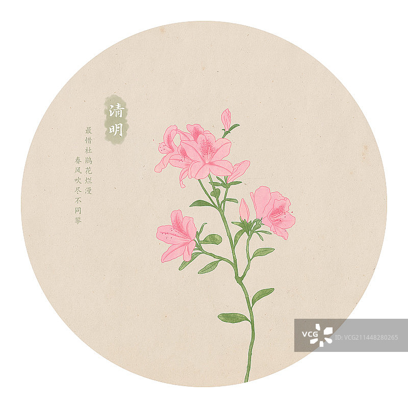 二十四节气清明杜鹃花手绘植物插画图片素材