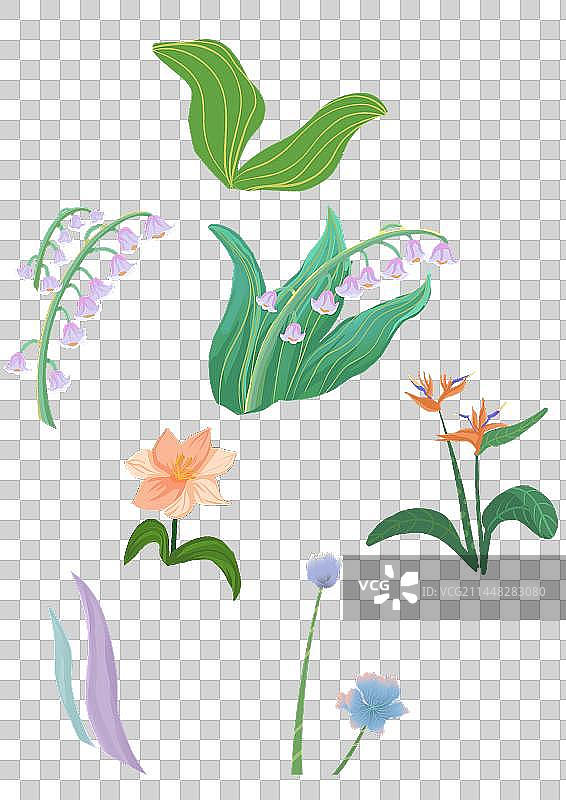 免扣花素材图片素材