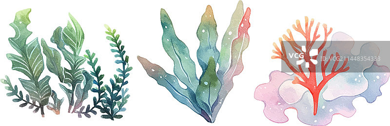 海藻水彩复古植物装饰图片素材