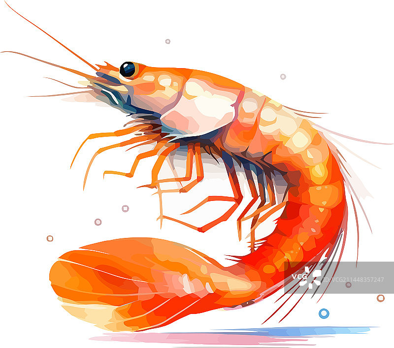 手绘风格的虾图片素材