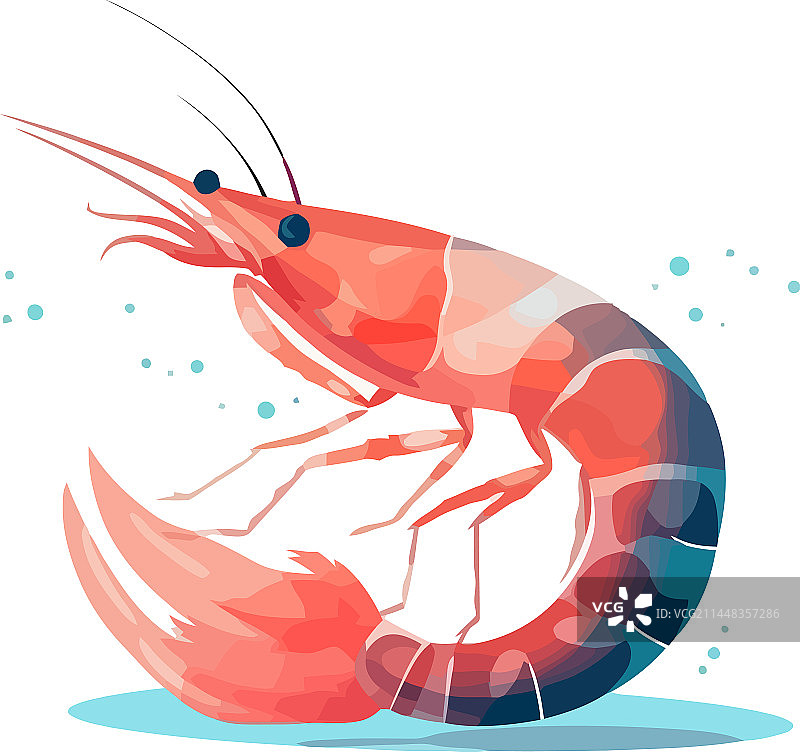 白色背景上的鲜虾鸡尾酒插画图片素材