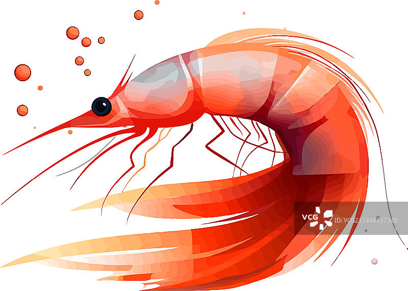 白色背景上的鲜虾鸡尾酒插画图片素材