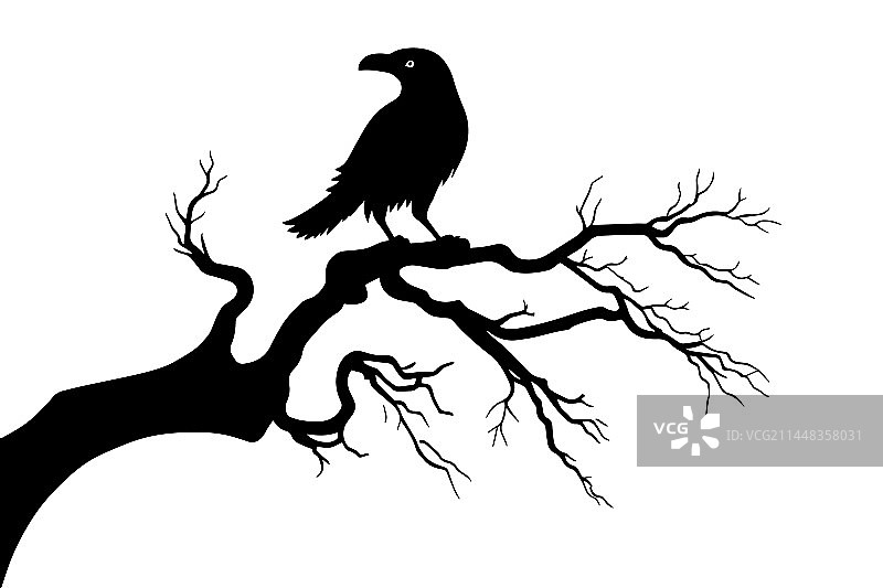 树枝上的乌鸦剪影设计图片素材