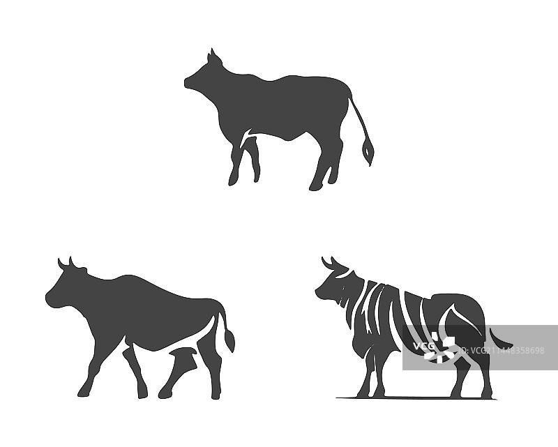 白色背景上隔离的公牛和母牛图片素材