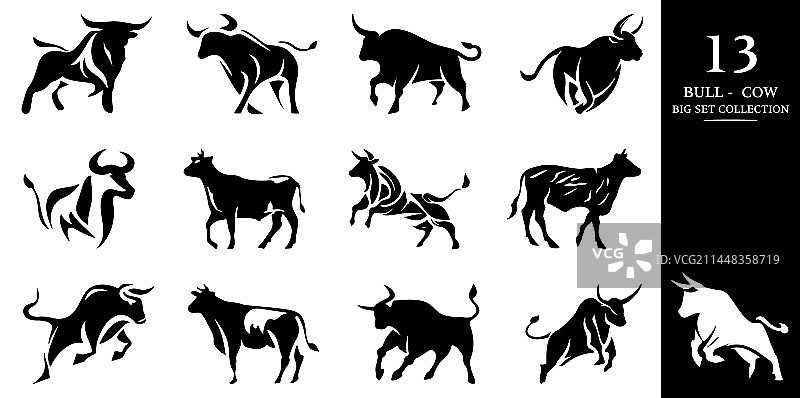 白色背景上隔离的公牛和母牛图片素材