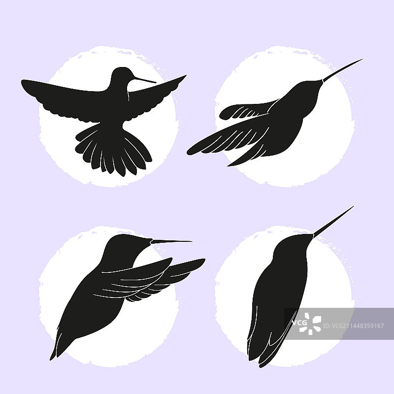 蜂鸟剪影合集图片素材