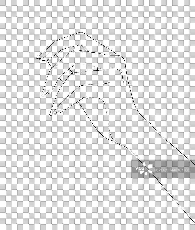 手线稿素材图片素材