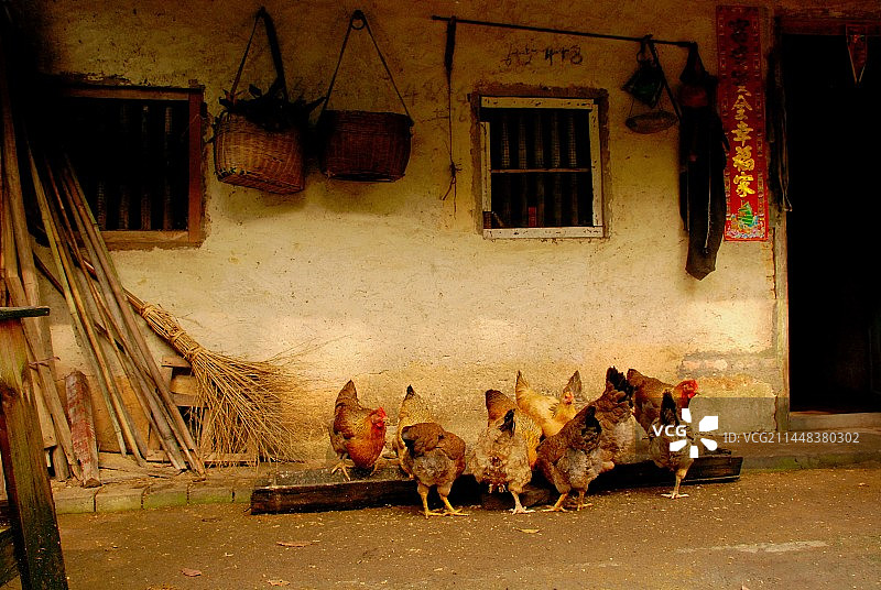 广州从化山里农家图片素材