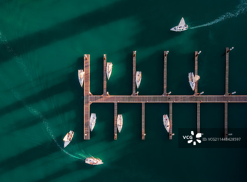厦门码头船坞海上帆船游艇大海自然行驶图片素材