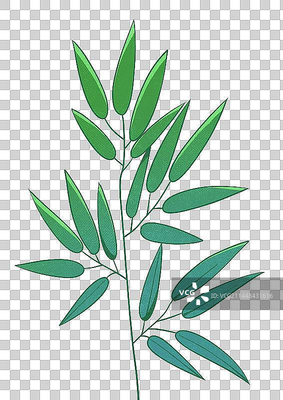 竹叶植物插画元素图片素材