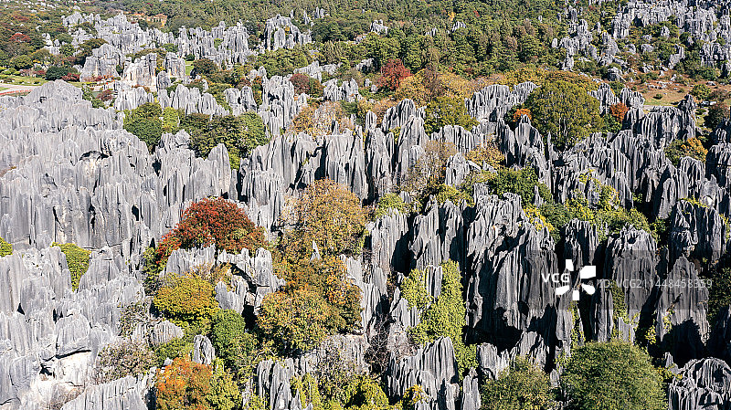 云南石林景区风光图片素材
