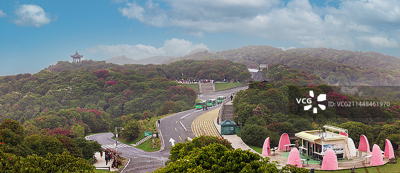 全国最大杜鹃花景区贵州毕节百里杜鹃景区风光图片素材