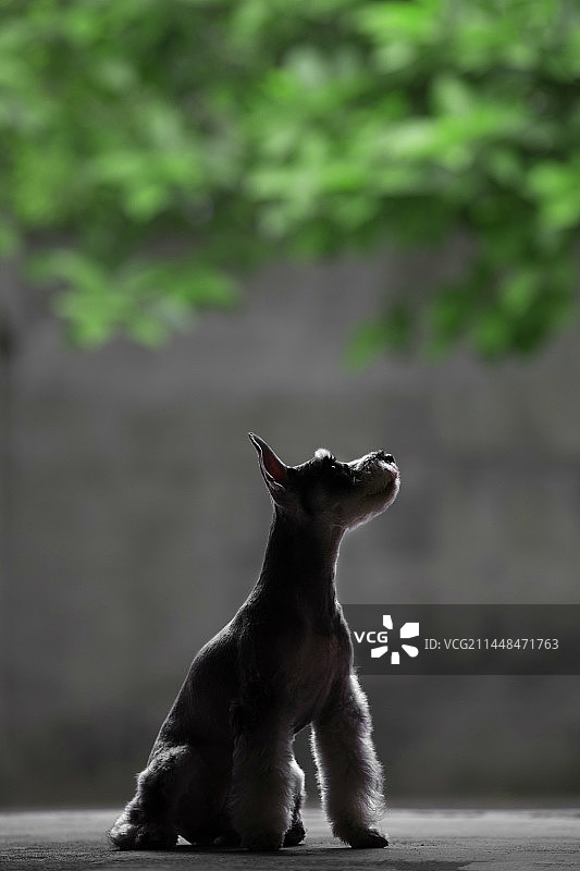 红砖厂-00011图片素材