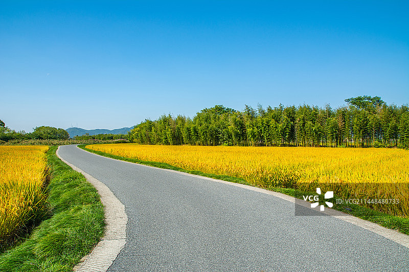 乡村田园风光 乡村道路 秋景 杭州良渚古城遗址公园  秋天图片素材