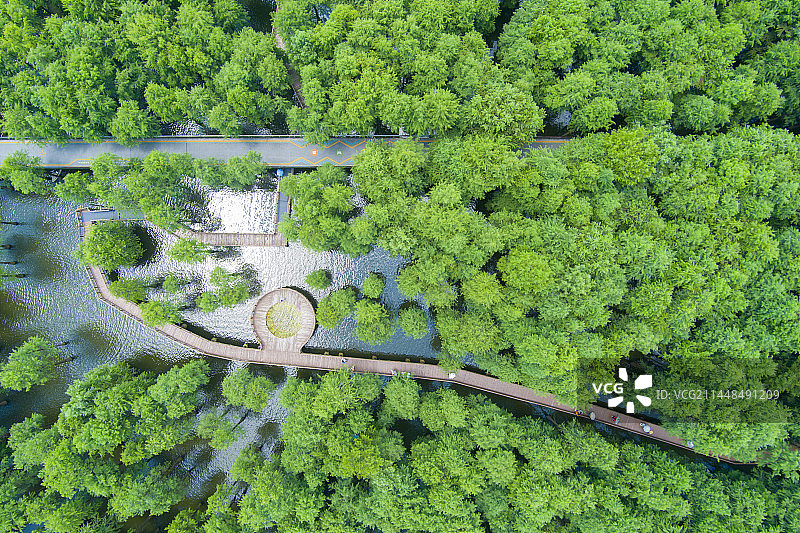 航拍杭州水上森林图片素材