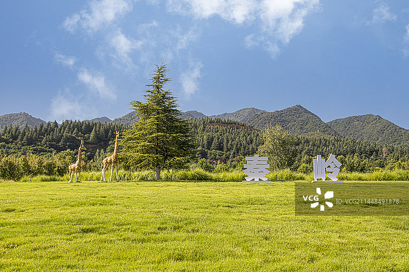 秦岭国家植物园图片素材