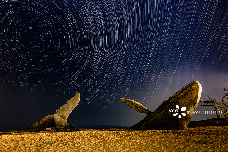 烟台鲸落星轨城市展示中心图片素材