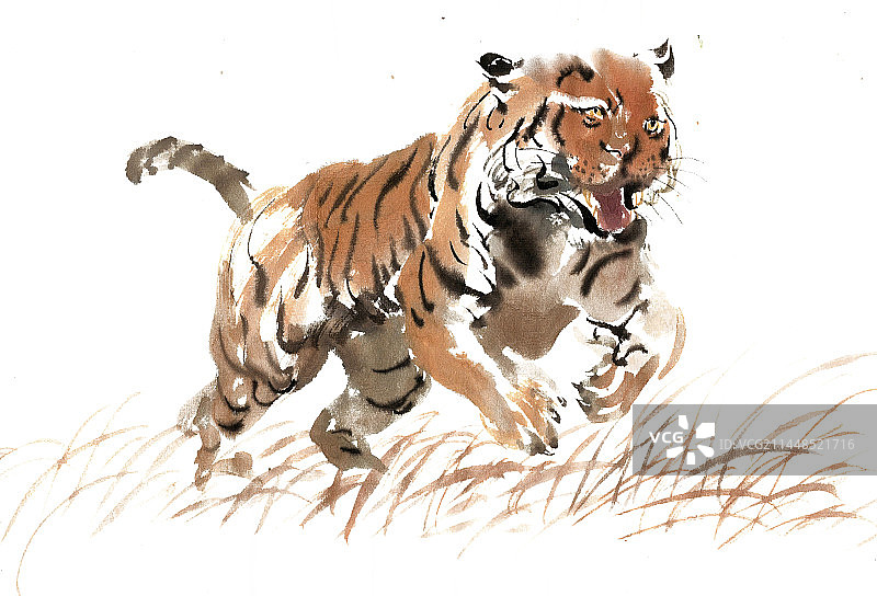 奔跑的老虎图片素材