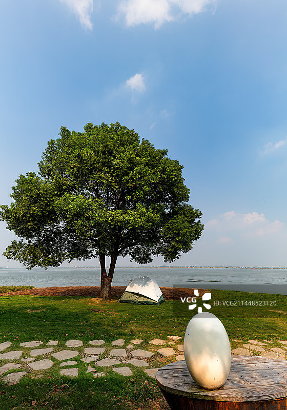 苏州阳澄湖杉树公园图片素材