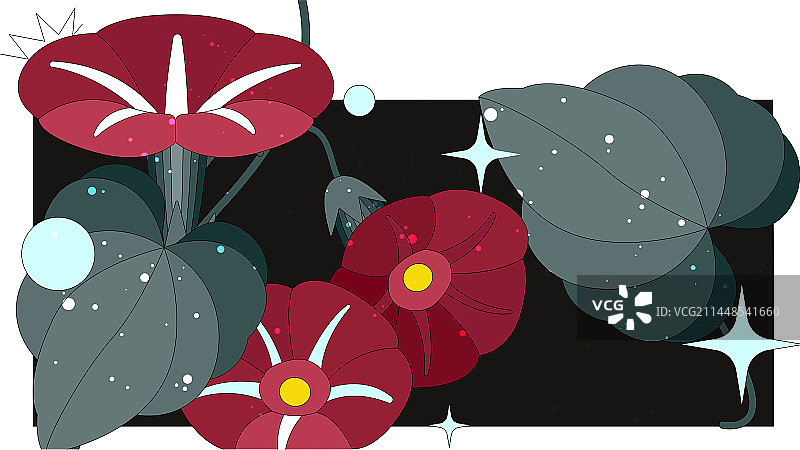 暗色调红色牵牛花和叶子植物图片素材