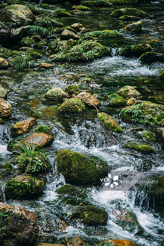 小溪流水图片素材