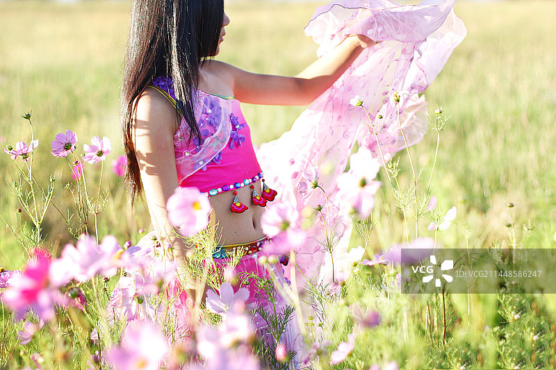 格桑花海小女孩图片素材