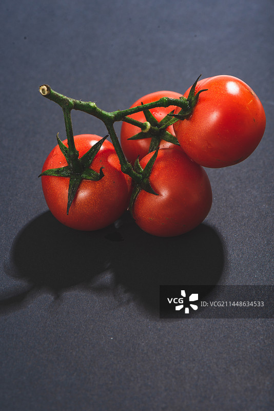 西红柿图片素材