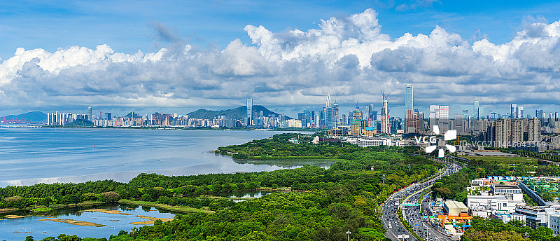 深圳红树林生态保护区图片素材