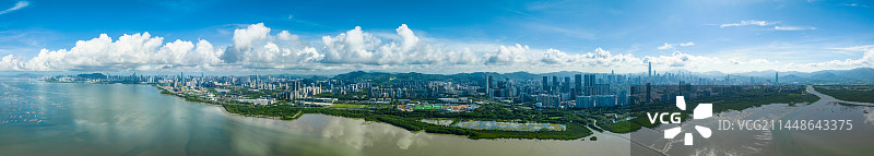 深圳红树林生态保护区图片素材