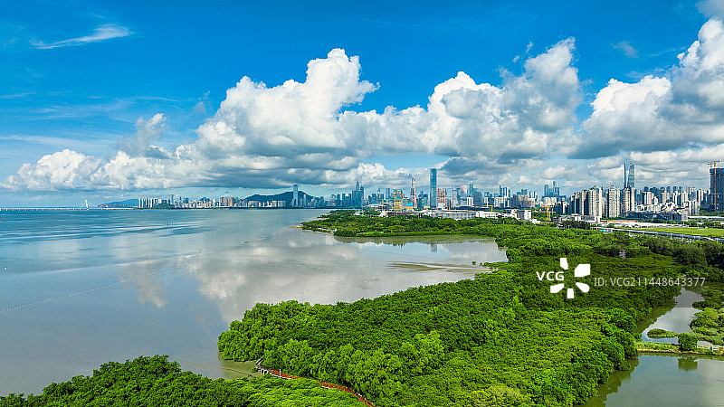 深圳红树林生态保护区图片素材