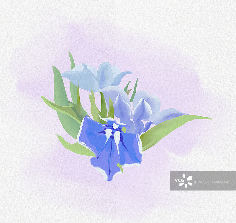 蓝色花朵和花瓣图片素材