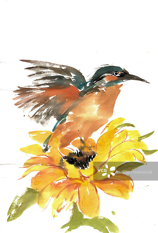 向日葵与翠鸟图片素材