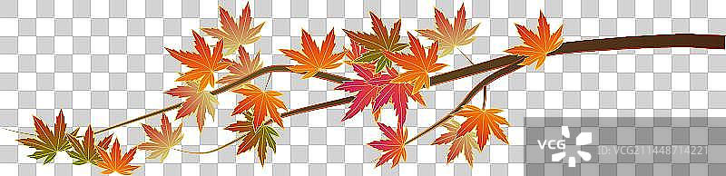 秋天枫叶枫树元素图片素材
