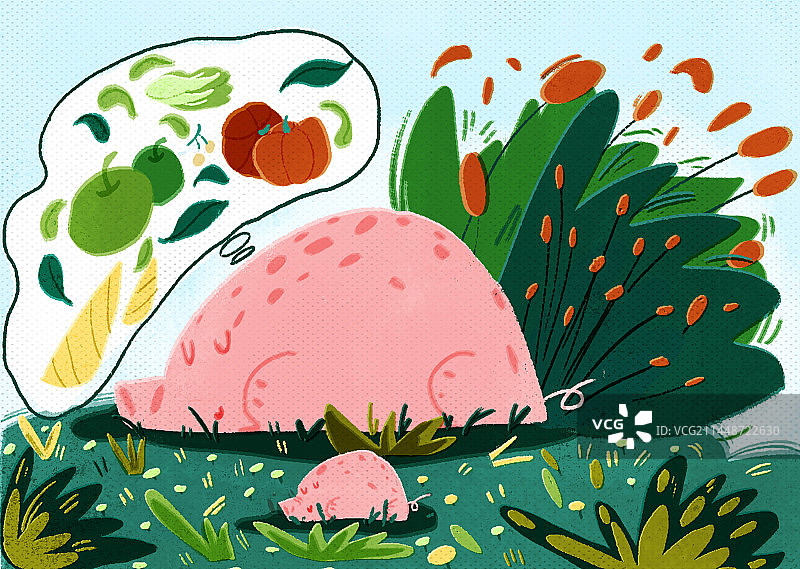 动物系列 猪图片素材