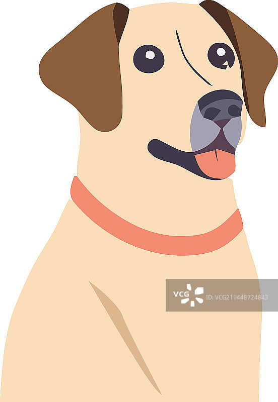 可爱的小狗坐着微笑，永远的忠实朋友图片素材