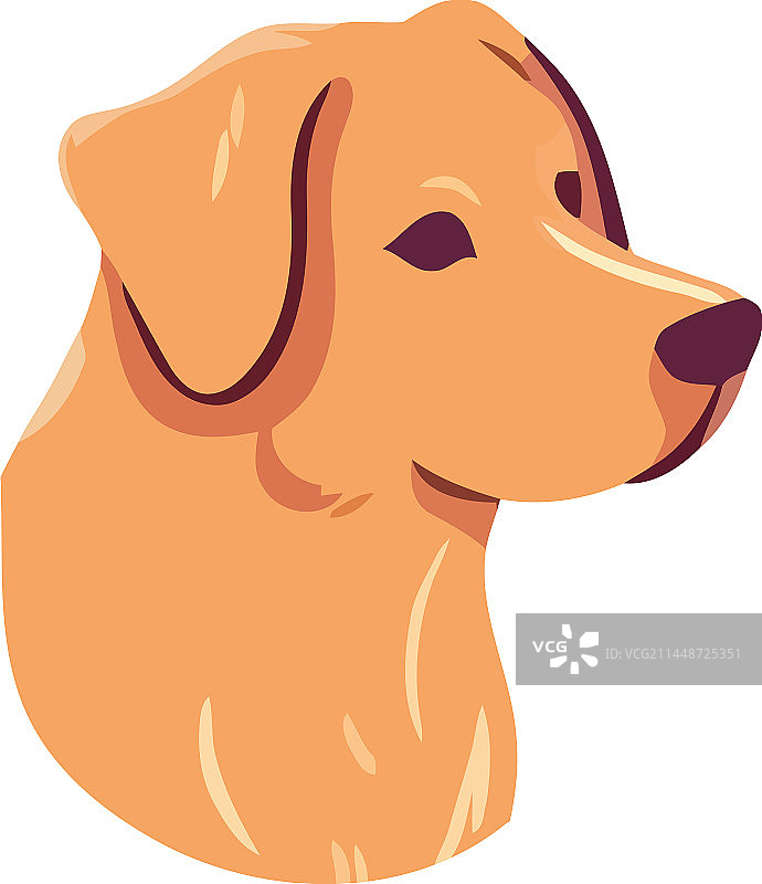 快乐的可爱小狗图片素材