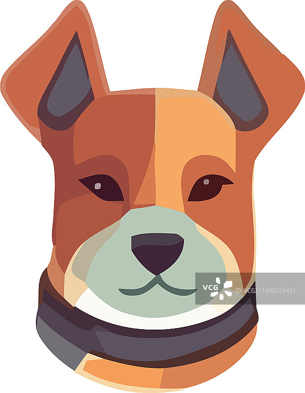 可爱的纯种梗犬肖像图片素材