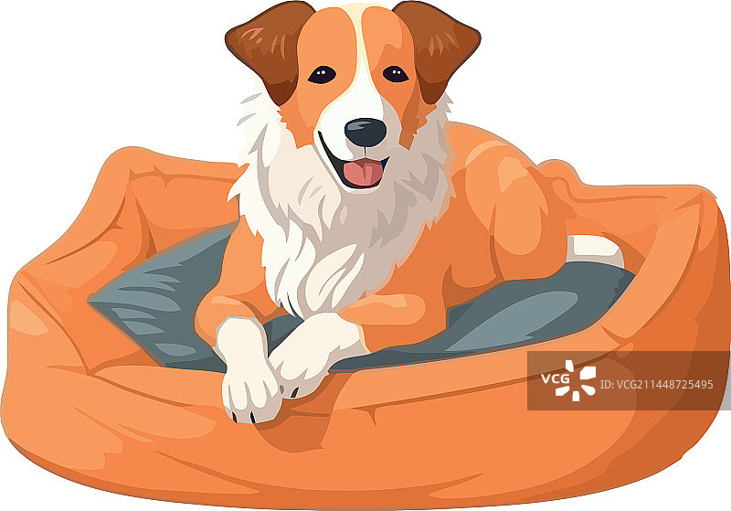 可爱纯种小狗快乐地坐着微笑图片素材