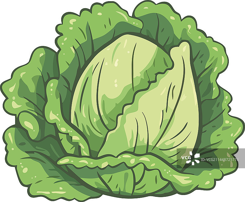 新鲜有机生菜，健康素食餐图片素材