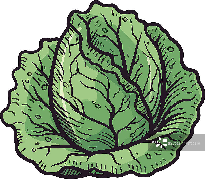 新鲜有机蔬菜沙拉图片素材