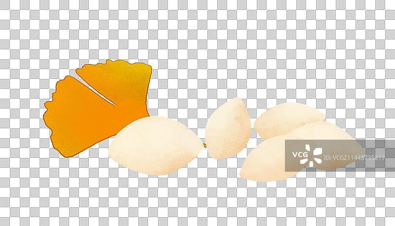 白果素材图片素材