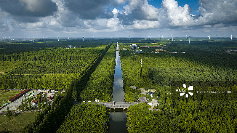 盐城东台市黄海森林公园图片素材