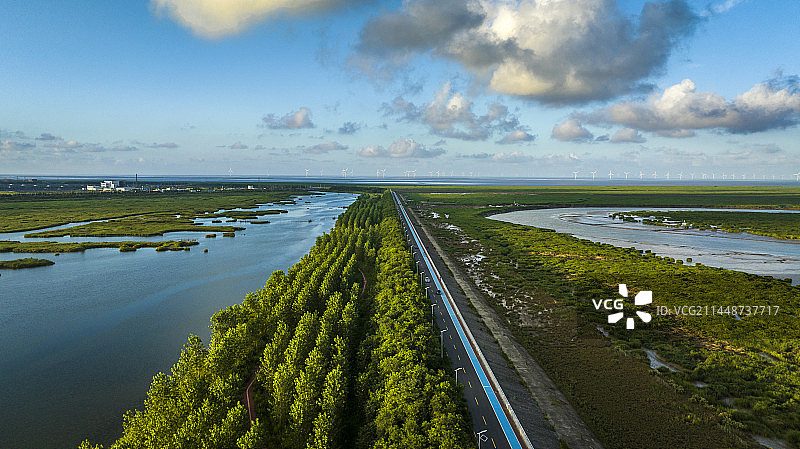 江苏盐城东台条子泥湿地公园 黄海湿地图片素材