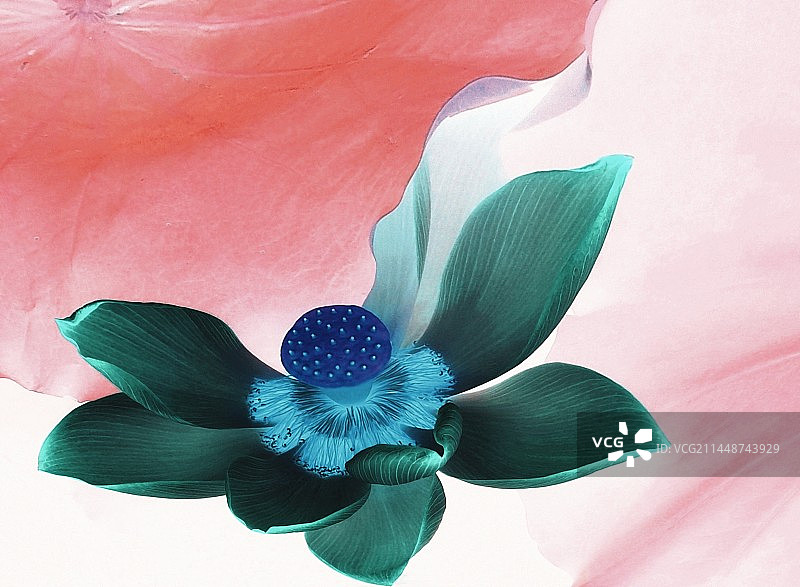 角色转换图片素材