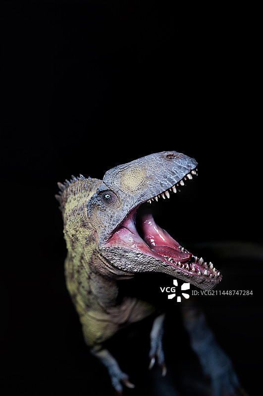 黑色背景下的恐龙特写镜头图片素材