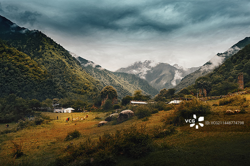 高山草场（阿坝孟屯河）图片素材