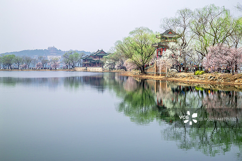 北京颐和园西堤桃花开似江南图片素材