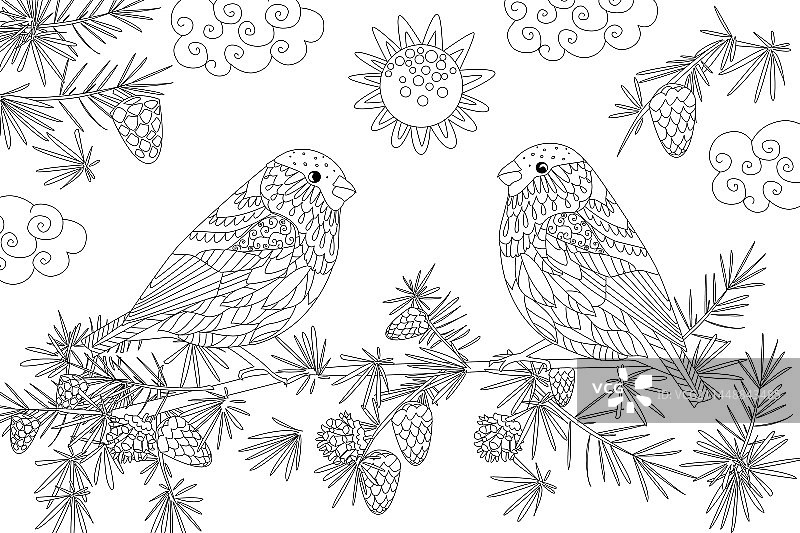 阳光明媚的一天，一对可爱的红腹灰雀图片素材